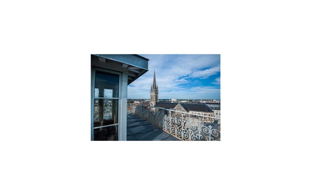 Destination Pau, l’histoire du Tourisme et de Pau de 1870 à nos jours Pau