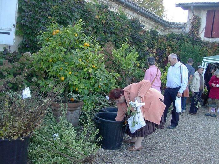Distribution gratuite de graines et de boutures Jardins du château de Mongenan Portets