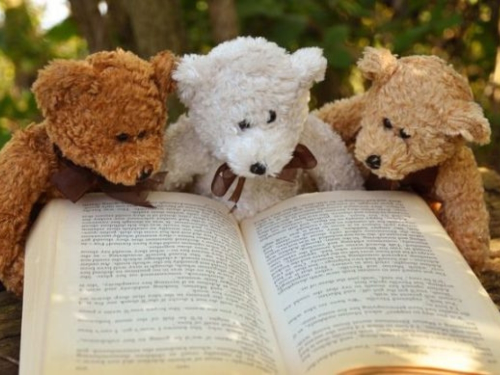 Doudous lecteurs Plouf dans l'eau ! 211 Chemin de Tambourin Ondres 2026-04-11