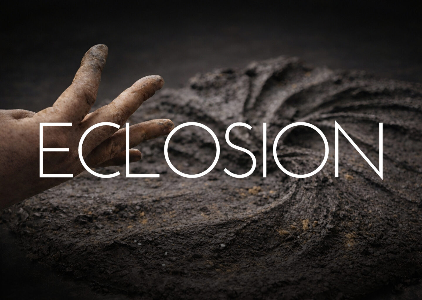 Éclosion Route de la Chapelotte Henrichemont 2026-03-21