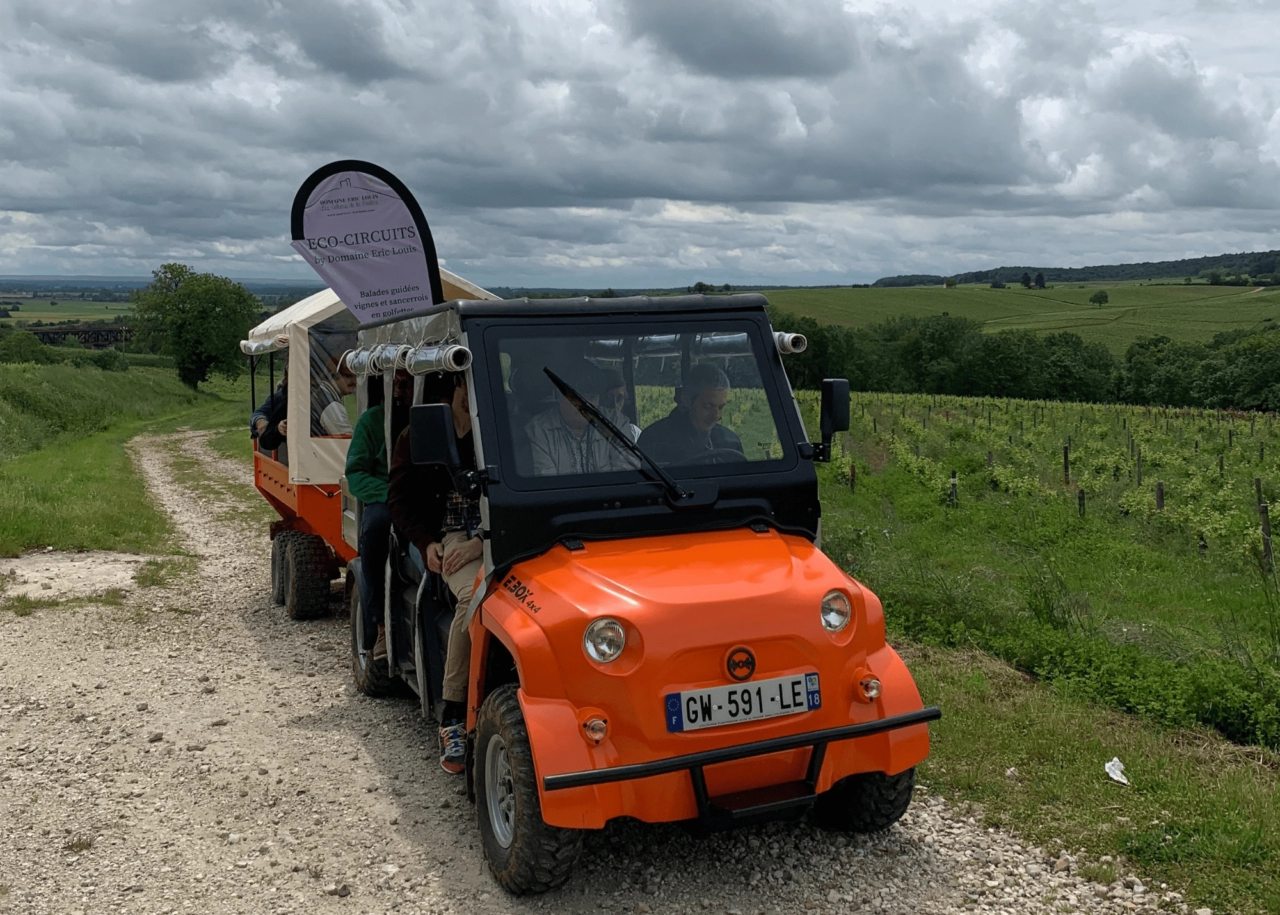 [Eco-circuit ]: promenade en golfette et dégustation dans les vignes  Thauvenay