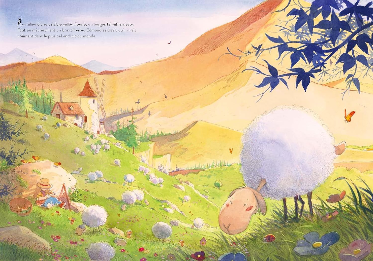 Planche intérieure de Edmond gros mouton