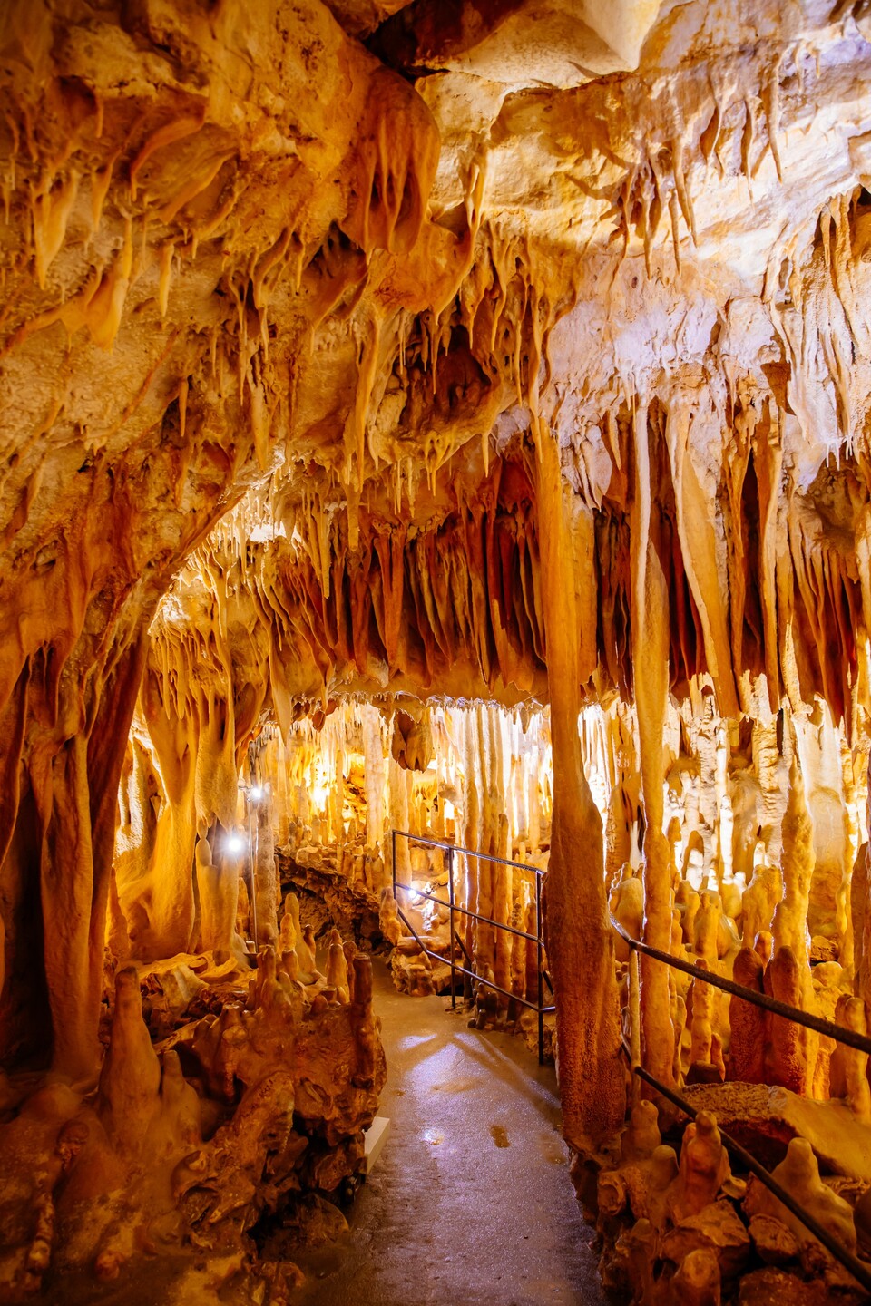 Enigme à la grotte de Villars A la recherche d'Ayla la chamane 761