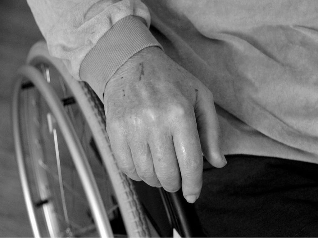 Ensemble autour de MIKA 12 Quater boulevard Jacques Duclos Tarnos 2026-04-04