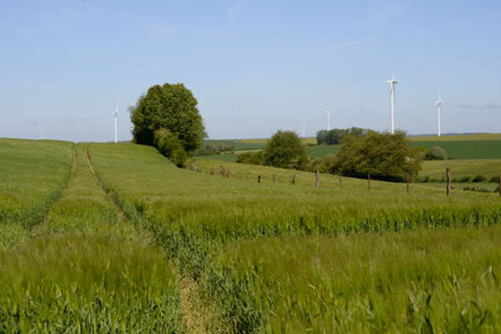 Entre champs et vallées  Bossus-lès-Rumigny 2026-10-14