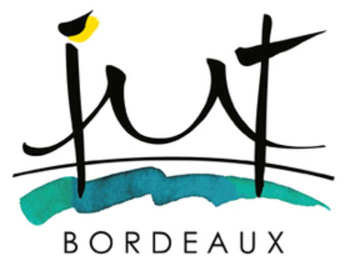 Entretiens individuels IUT GEII IUT GEII Gradignan