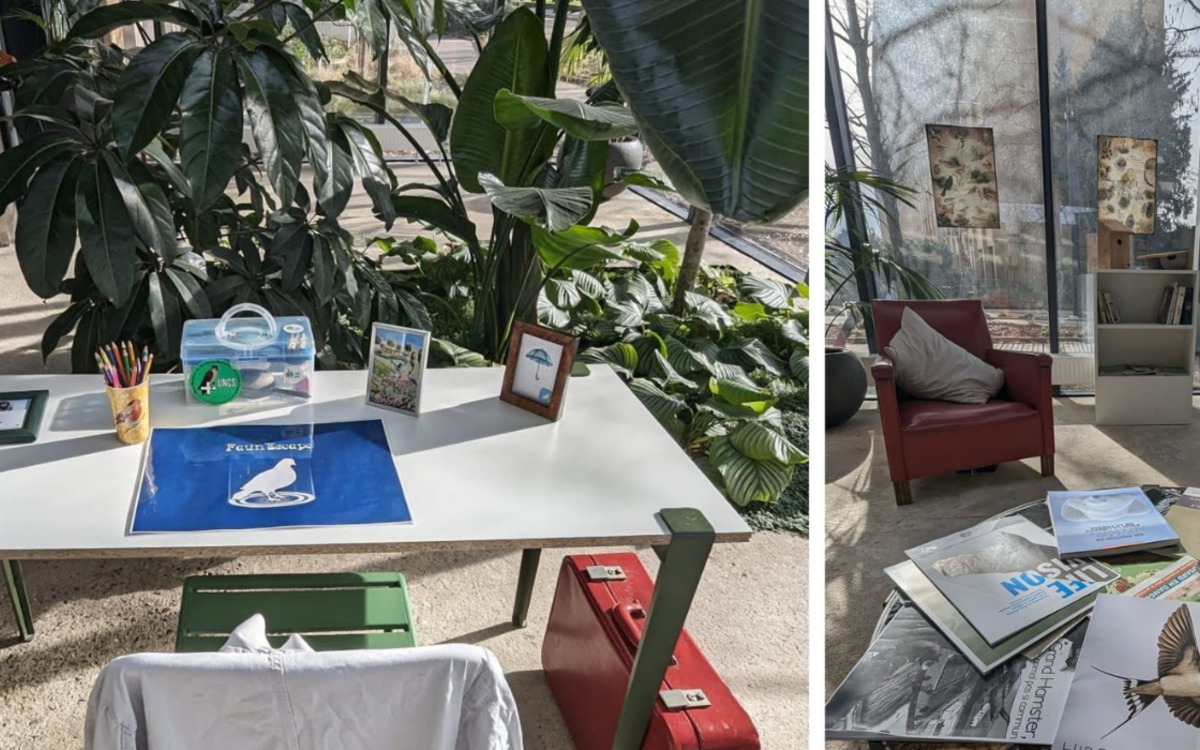 Escape game : Faun'escape ! Ressourcerie Le Plant B  Paris