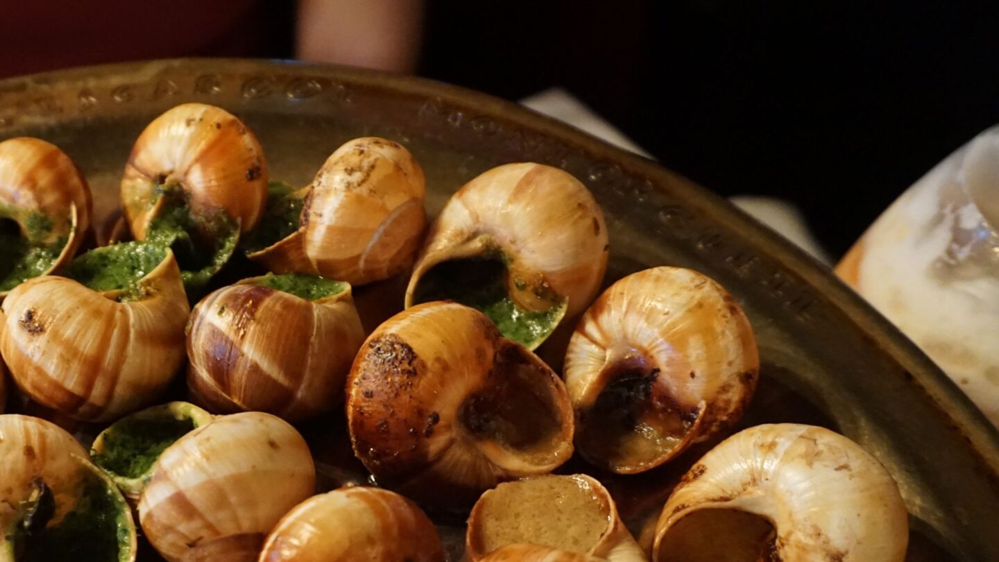 Escargolade Route du Bourg Bonnut 2026-04-11