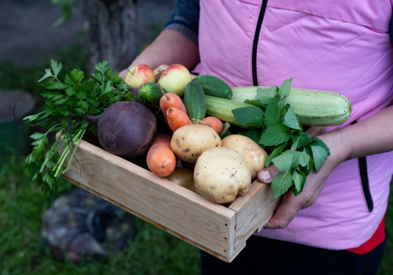 Événement Nature & Vous Manger malin Au rythme des saisons 12 impasse Albert Lanvin Fressain 2026-04-18