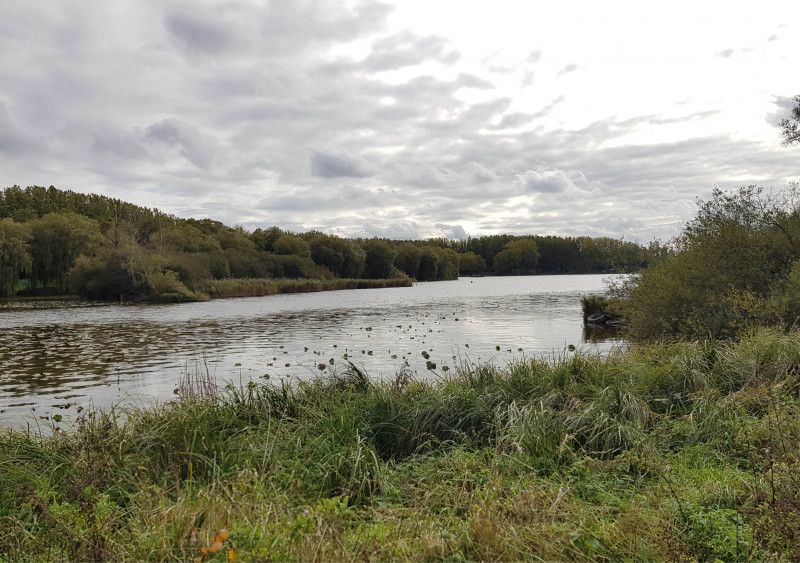Événement Nature & Vous Voyageurs ailés les secrets de la migration Rue de la plage Aubigny-au-Bac 2026-10-10
