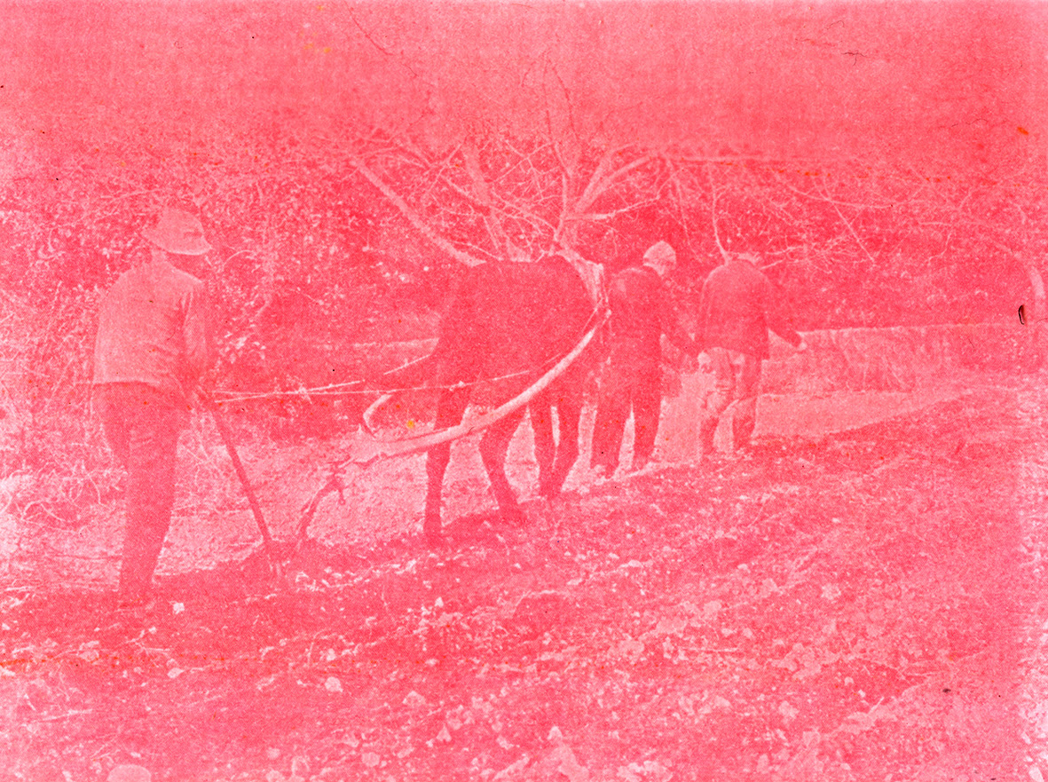 Exposition à la Vinadie Archives et matière photographique