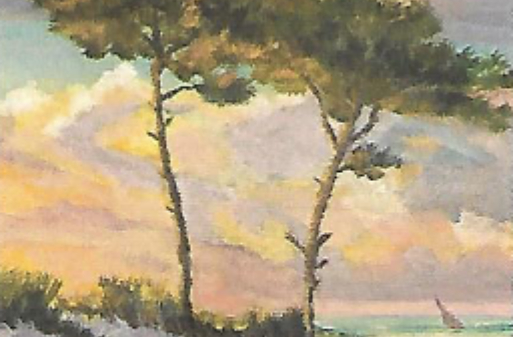 Exposition | D.BOCHER