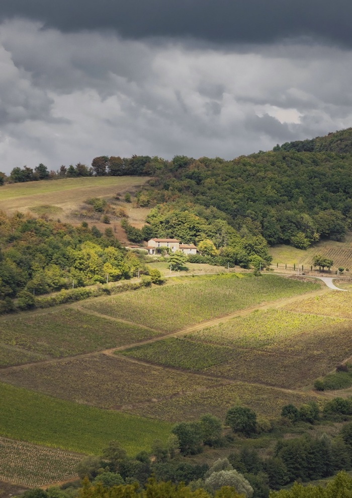Exposition L'architecte ne mord (presque) pas #2 Maison de l'Architecture de Franche-Comté Besançon