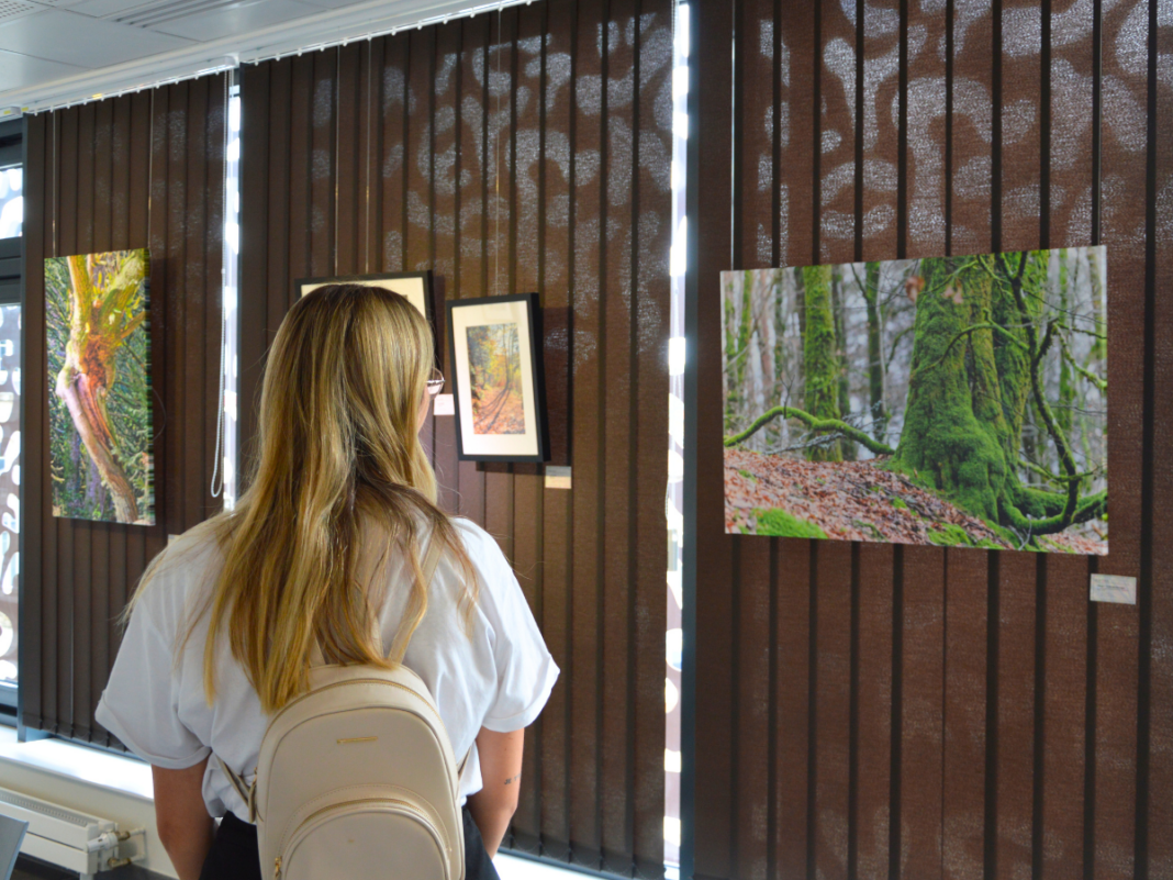 Exposition Nos villages en images, notre territoire en lumière Office de Tourisme Nexon