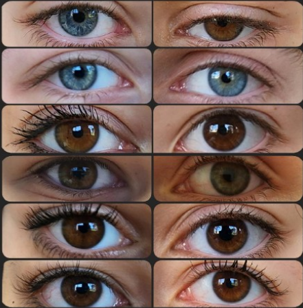 Exposition Perceptions Place du Mercadial Saint-Céré 2026-03-25