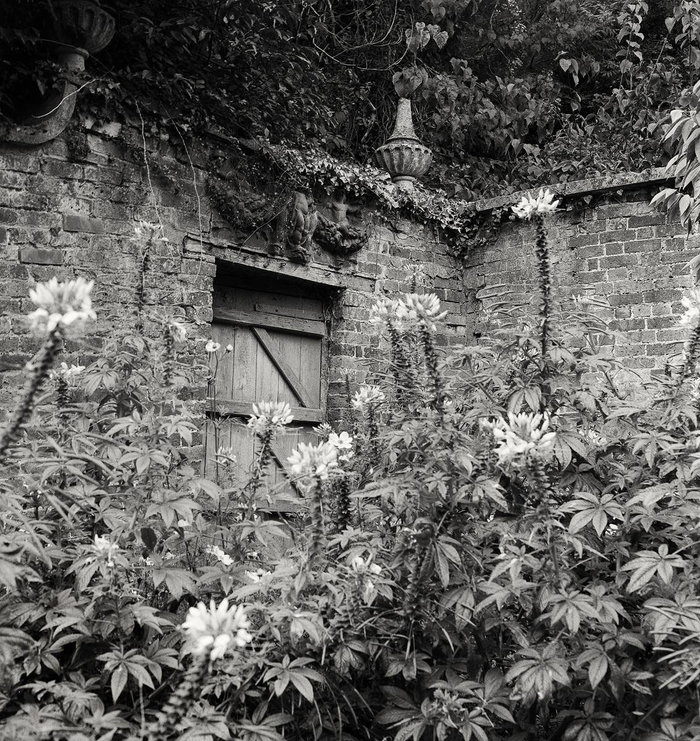 Exposition photographique Secret Gardens chez Livres Books & Co 11 Rue de Montmartre Montcuq-en-Quercy-Blanc 2026-04-05