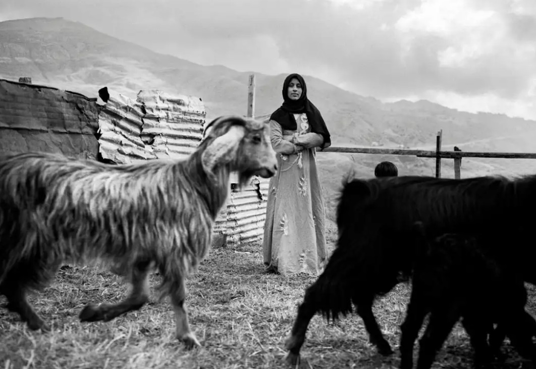 Exposition TEMPORARY LAND Galerie Chroniques Limoges