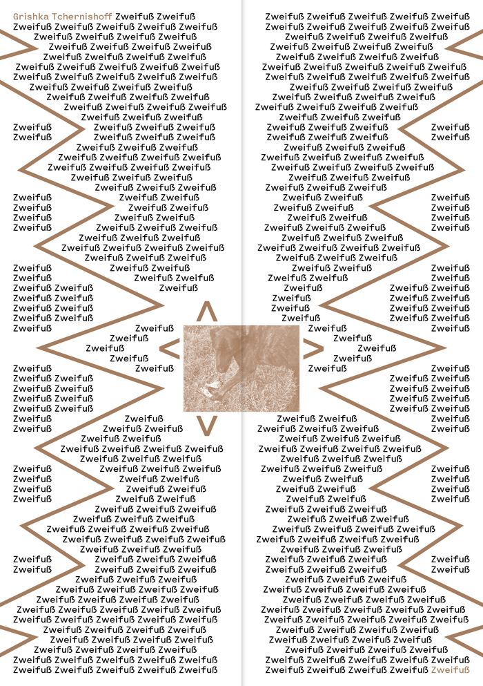 Exposition "Zweifuß"