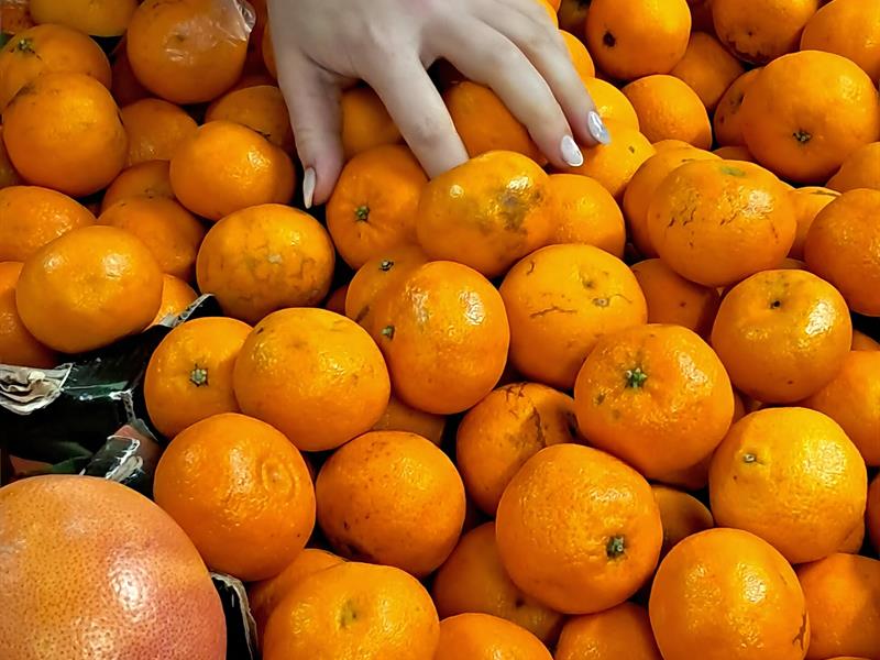 Expoxition photos Couleur 7 Rue François de Guise Bar-le-Duc 2026-04-11