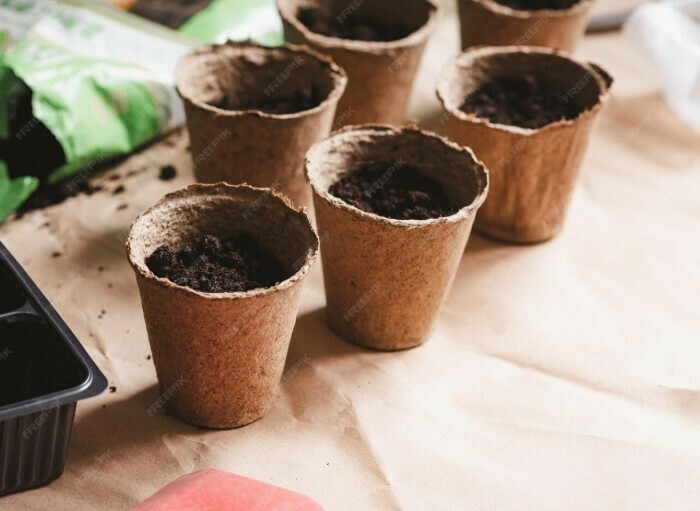 Fabrication de godets en papier recyclé Maison du jardinier et de la nature en ville Bordeaux