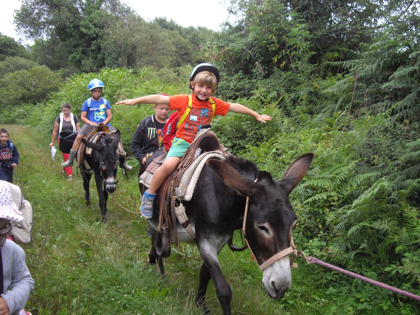 Fermier du dimanche, à la ferme Bibane Ferme Bibane Méracq