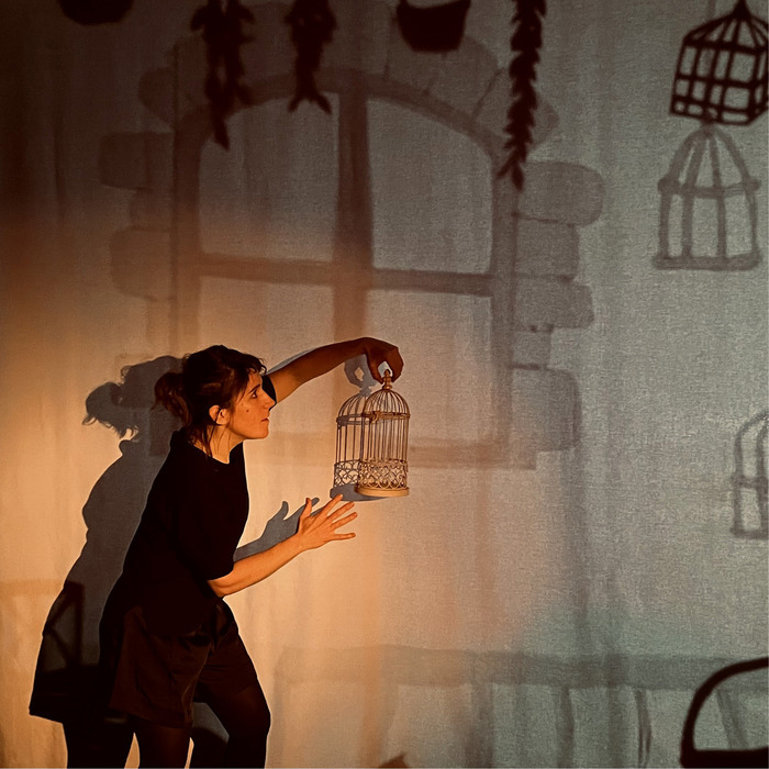 Festival Saperlipuppet : Femme de l'ombre Espace Culturel Capellia La Chapelle-sur-Erdre