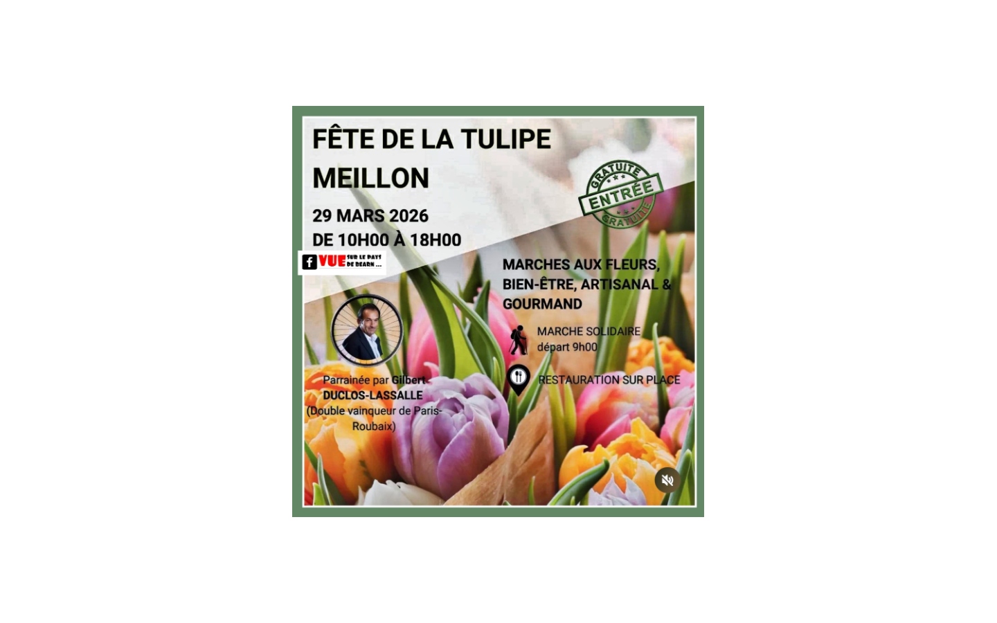 Fête de la Tulipe 16 Rue de la Mairie Meillon 2026-03-29