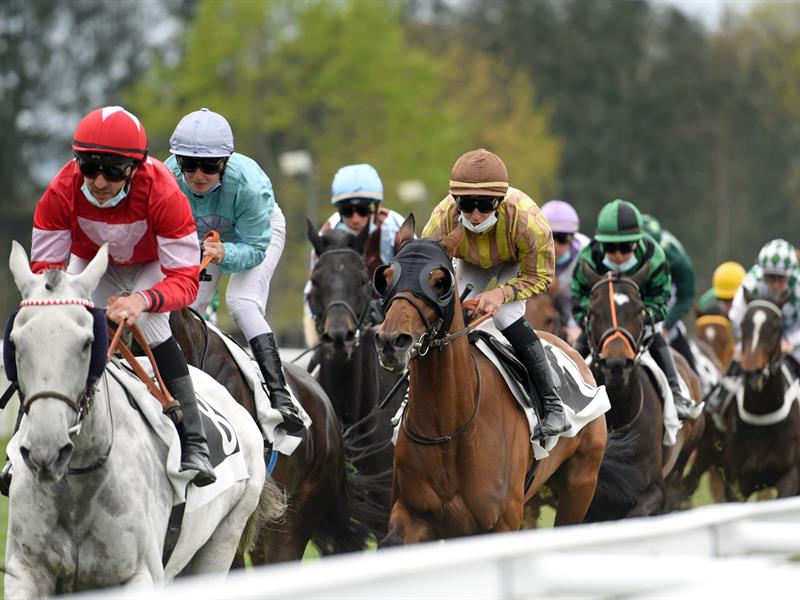 Fête de l&rsquo;hippodrome  Wissembourg