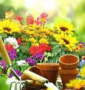 Fête des jardins à Pons Place du village Saint-Hippolyte 2026-04-26