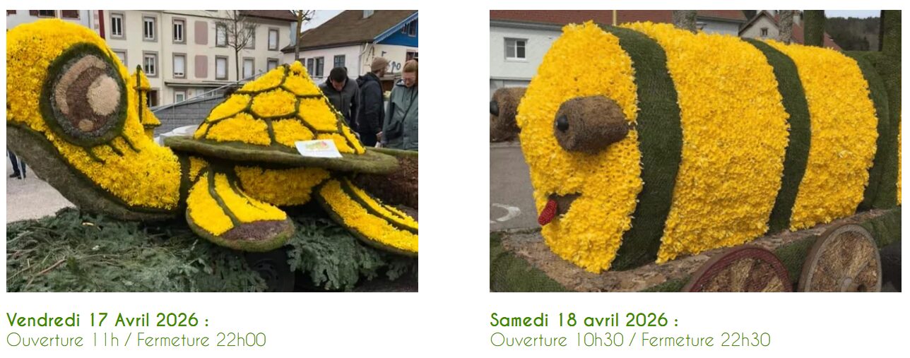 Jonquilles en fêtes à Gérardmer