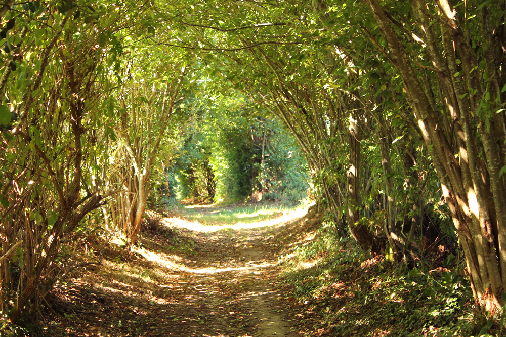 Fête du printemps randonnée pédestre Forgevieille Saint-Germain-Beaupré 2026-05-01