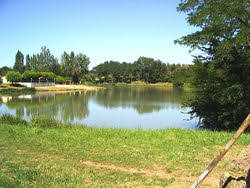 Flore du marais de Laromet Lac de Laromet Laroque 2026-06-20