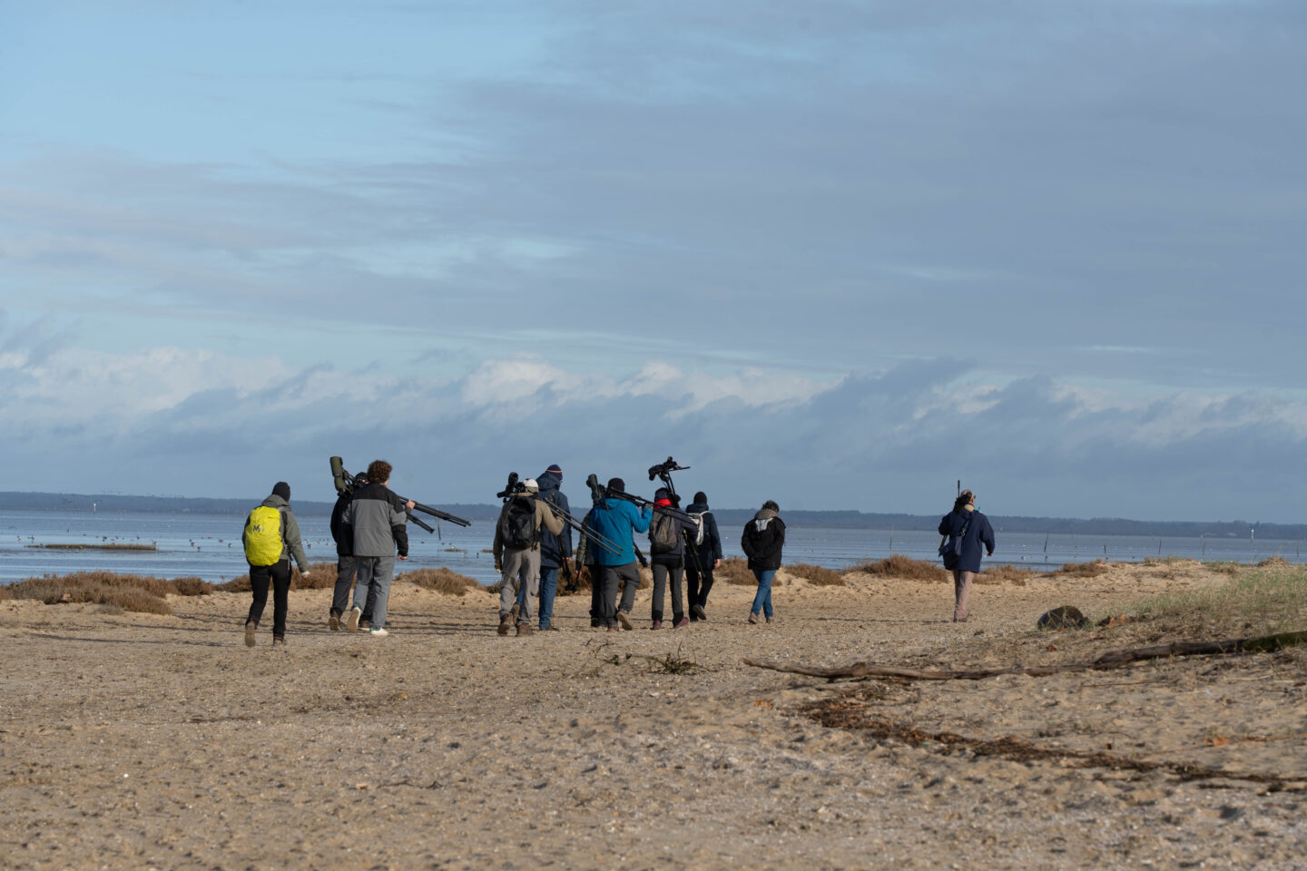 Formation aux oiseaux du littoral weekend oiseaux migrateurs Rue du Port Le Teich