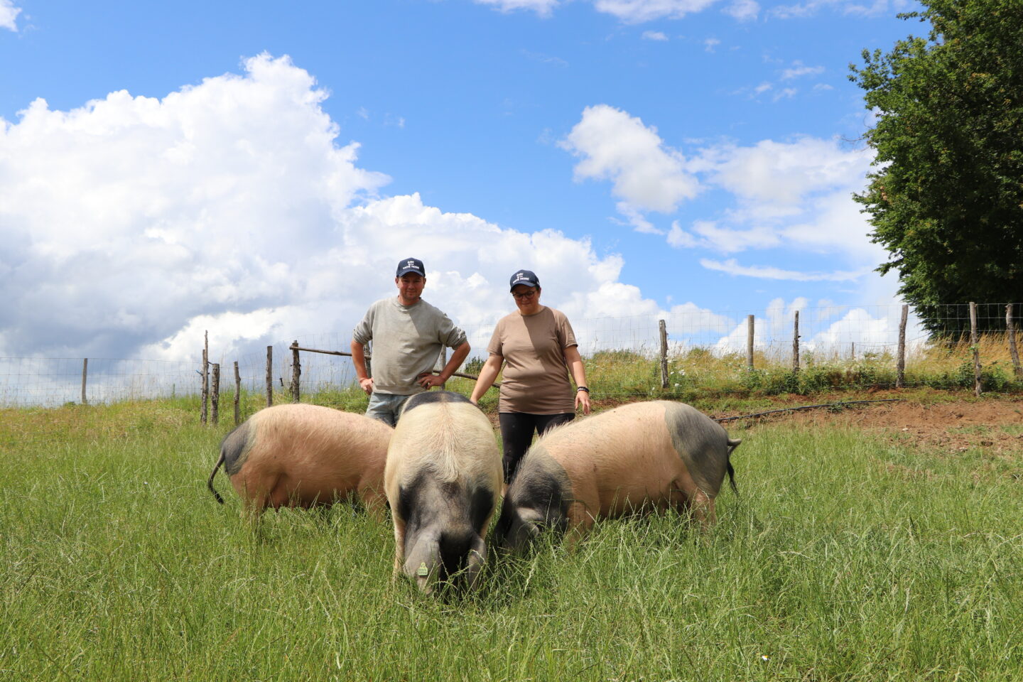 GAEC DE LA VACHE NOIRE ÉTÉ À LA FERME – Le Châtaignier Saint-Mexant