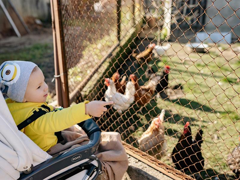 Grande chasse aux oeufs à la mini ferme du Heydé 100 Chemin du Housseron Plaine 2026-04-11
