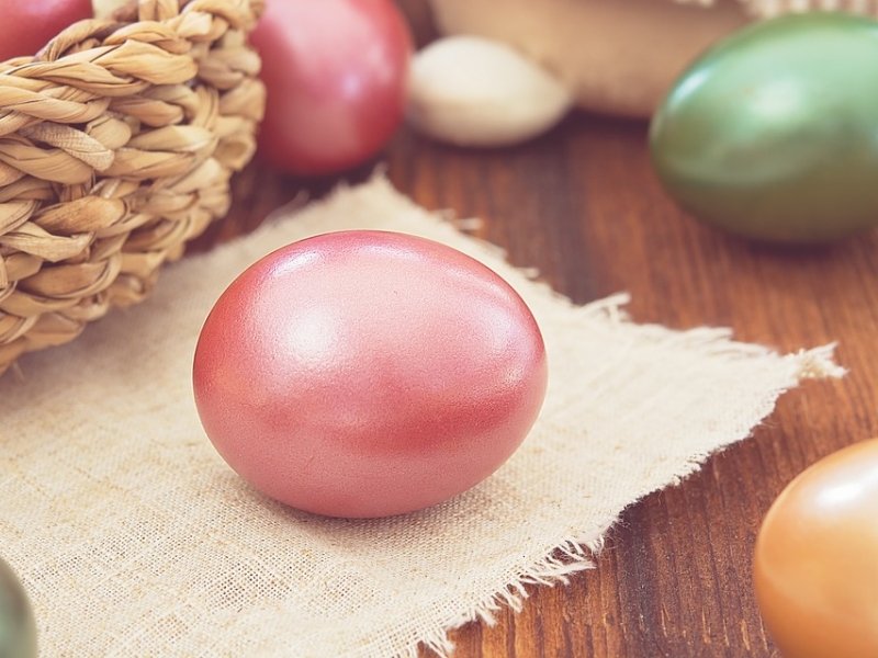 Grande chasse aux oeufs suivi du film Walter Lapin 6 Place de la Libération Cadillac-sur-Garonne 2026-04-06