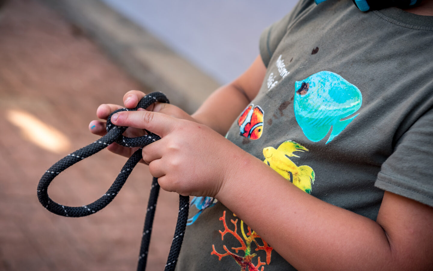 HISSE ET OH MATELOT ! Avenue Georges Pompidou Capbreton 2026-03-18