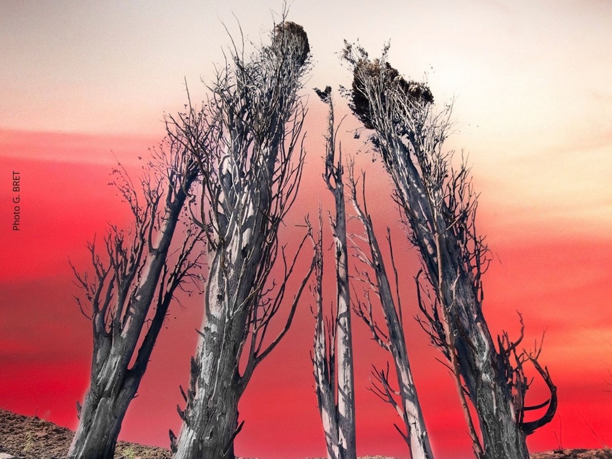 INCENDIES DE L'AUDE EN 2025 TRAGÉDIE ET ESPOIR Chemin des pauvres Capendu 2026-04-04