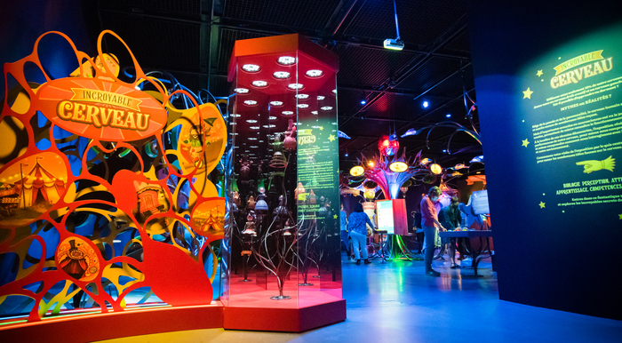 Incroyable cerveau Espace des sciences – Salles d’exposition Rennes