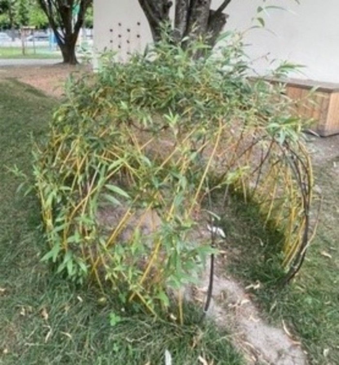 Installations végétales - Land Art Musée national et domaine du château de Pau Pau