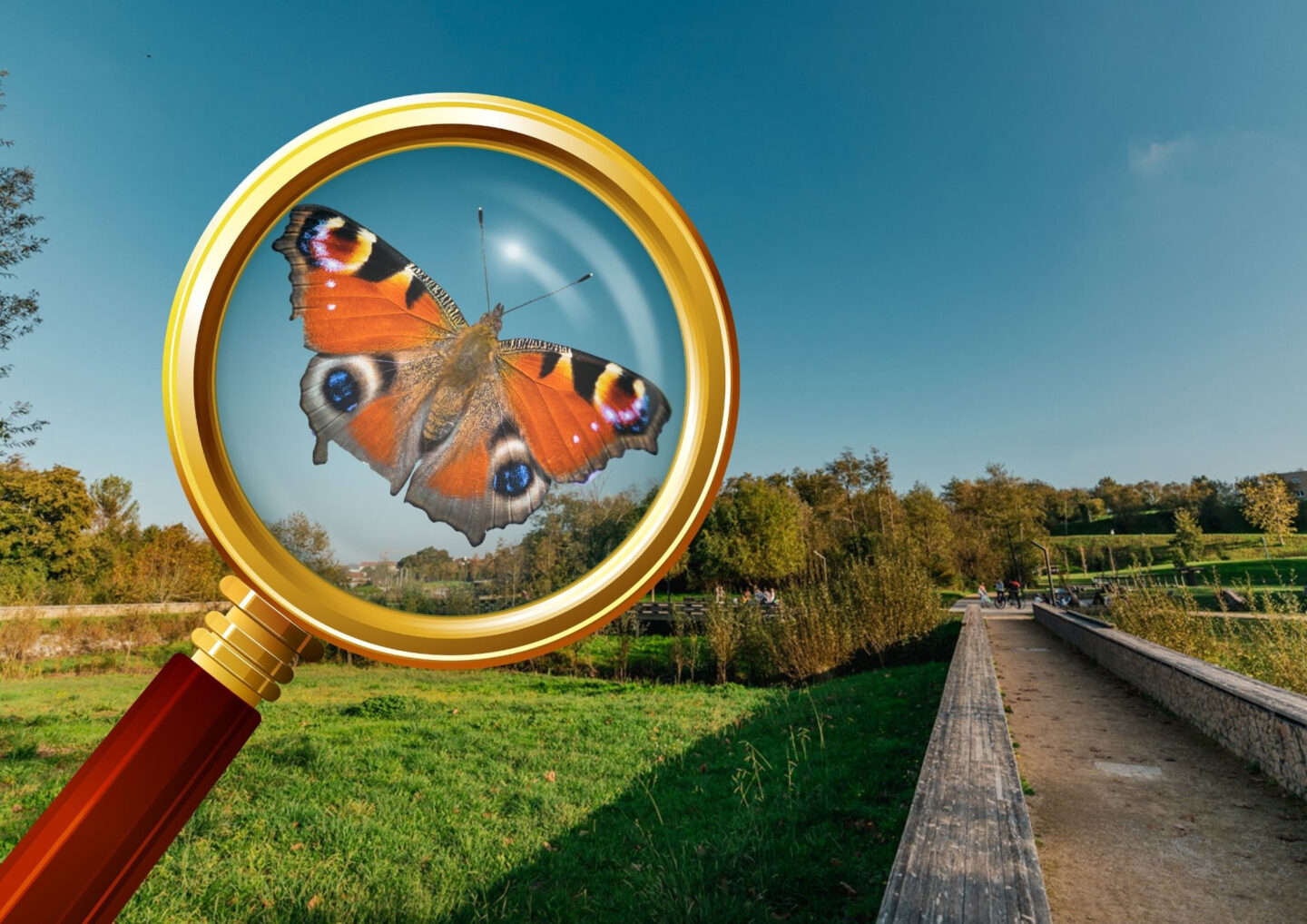 Inventaire participatif sur les papillons au Maharin Inventaire participatif sur les papillons au Maharin Allée du Val Fleuri Anglet 2026-04-15