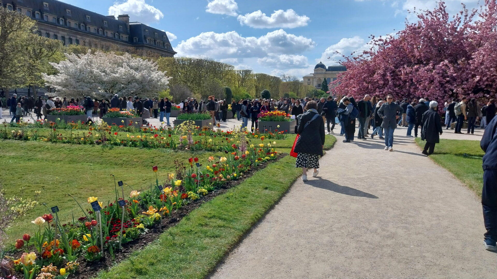 Vue printanière du Jardin des Plantes à Paris