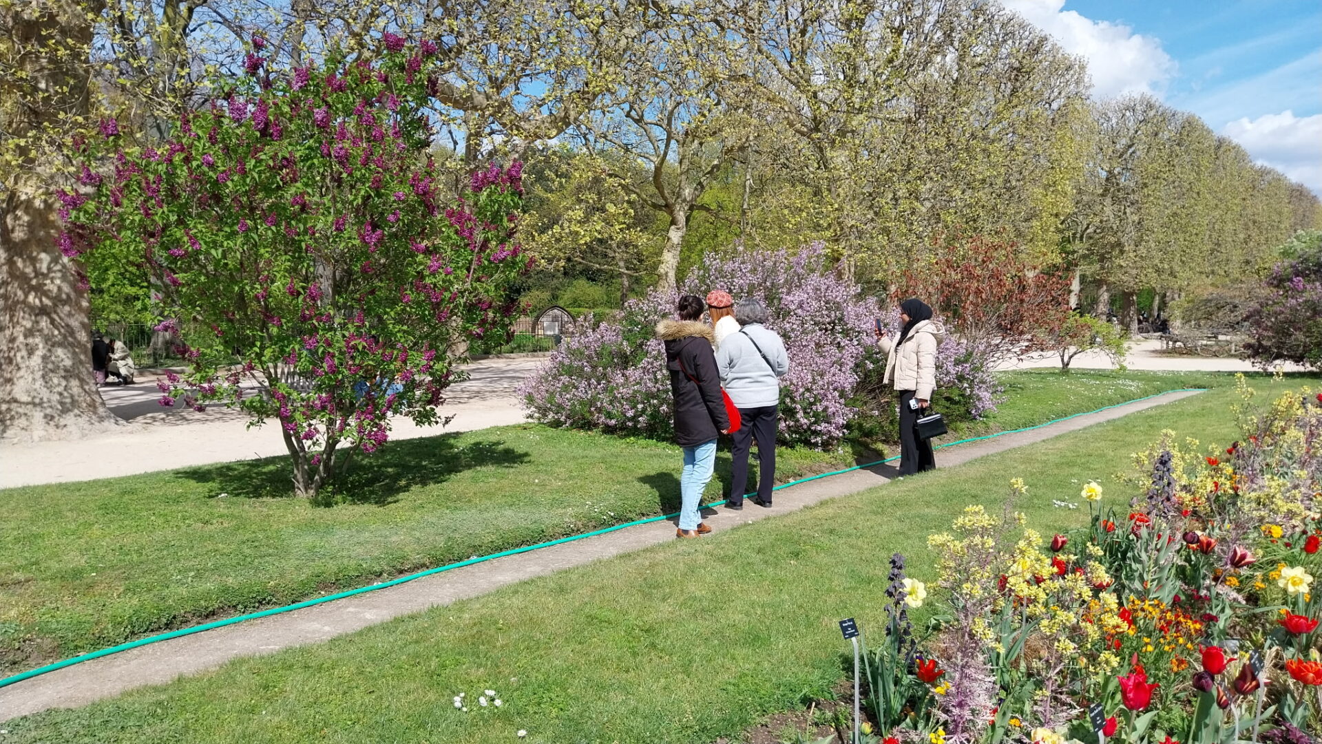 Perspective fleurie du Jardin des Plantes