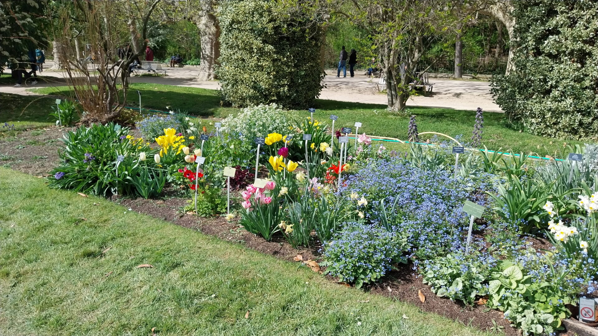 Parterres fleuris au Jardin des Plantes