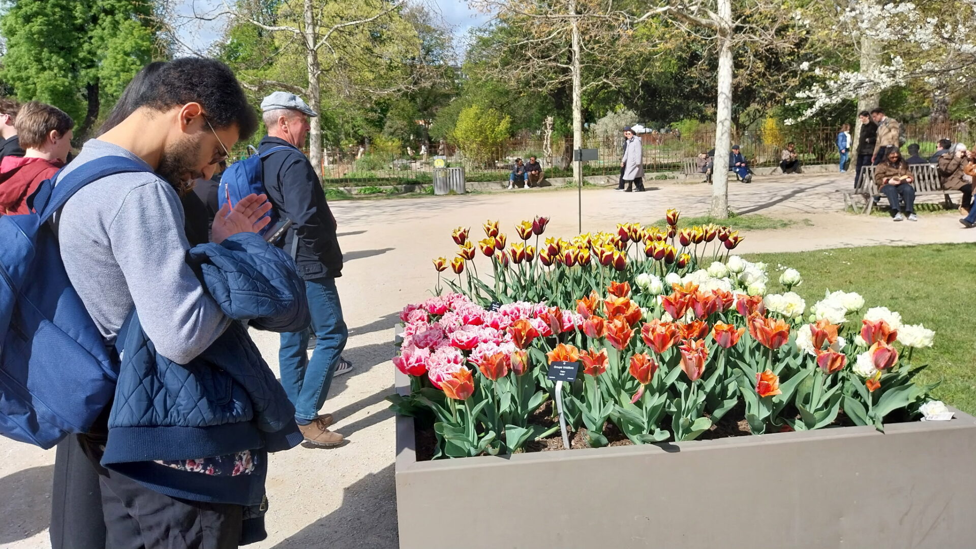 Massifs fleuris au Jardin des Plantes de Paris