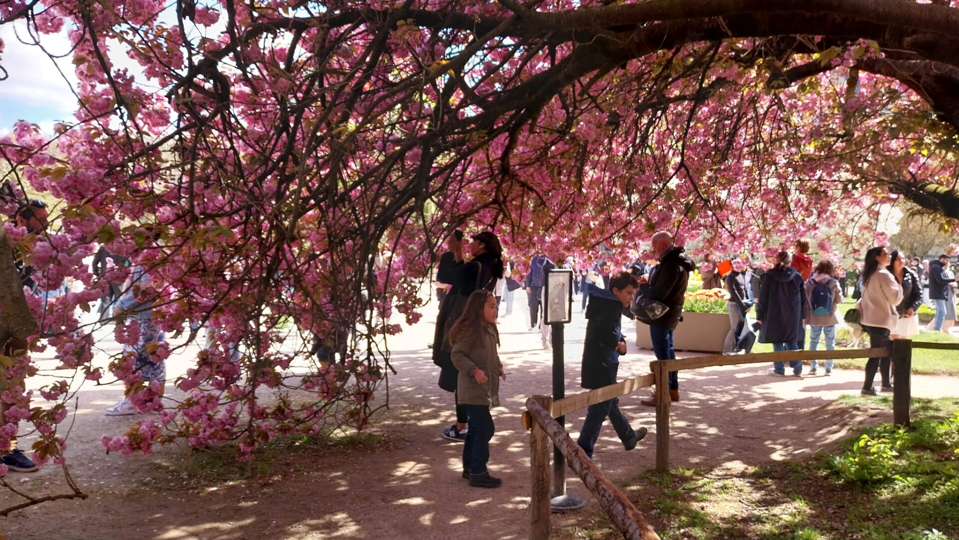 Promenade printanière au Jardin des Plantes