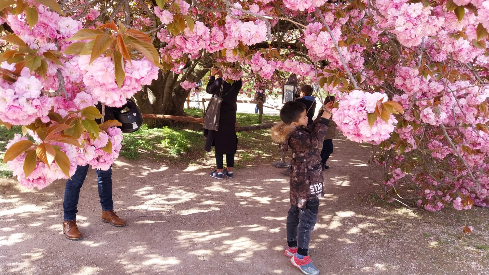 Allée fleurie du Jardin des Plantes