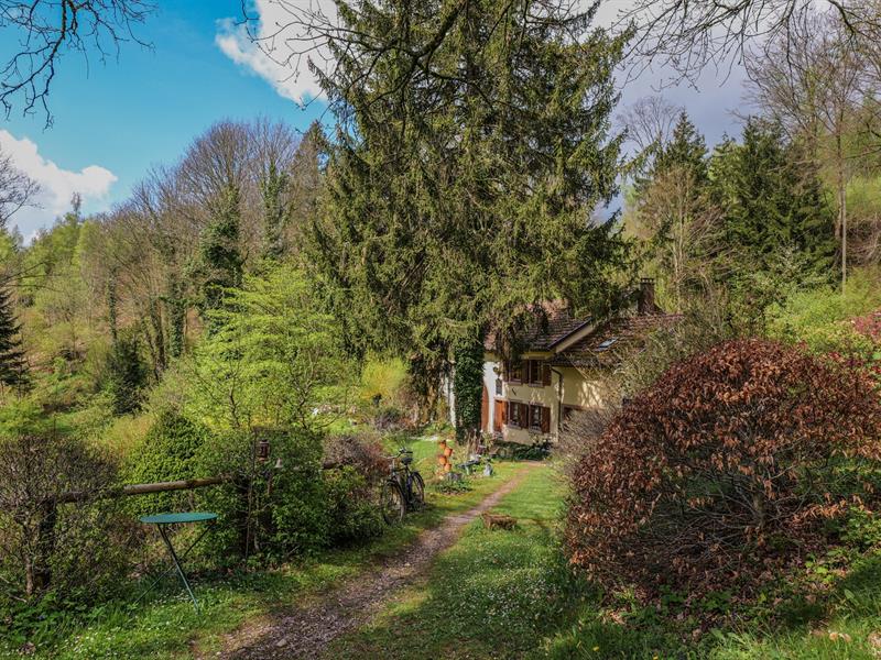 Jardin en Fêtes  Plaine