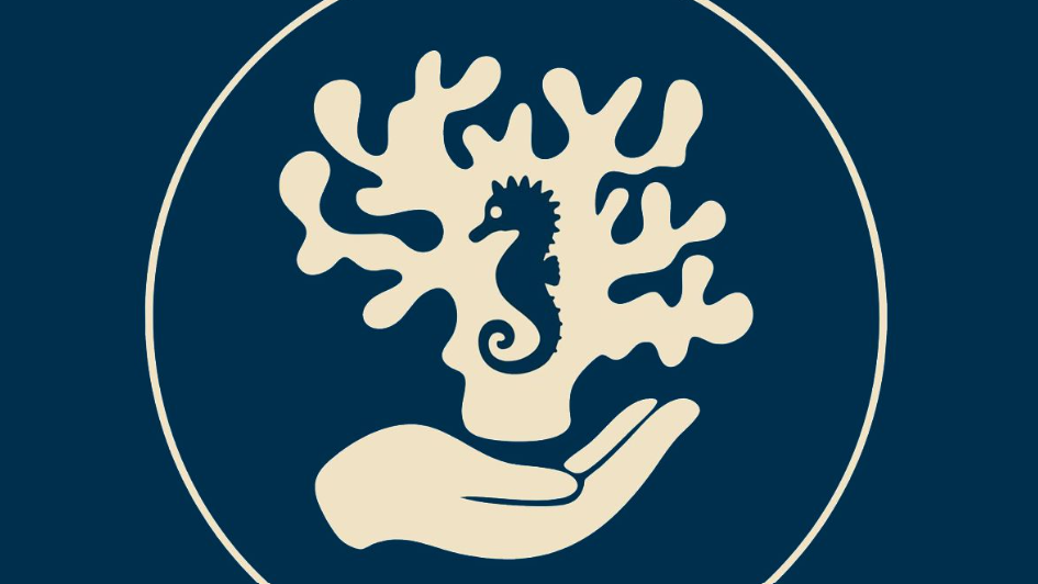 Jeu de piste de Pâques à l'Aquarium Refuge 2 Boulevard Gambetta Limoges 2026-04-04