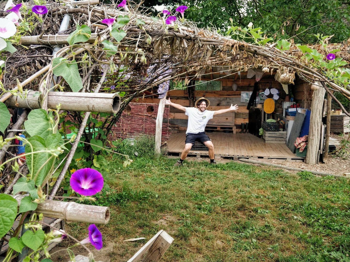 Jeux sur les graines et semis d'été